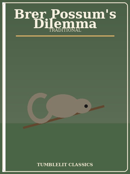brer possum's dilemma book cover