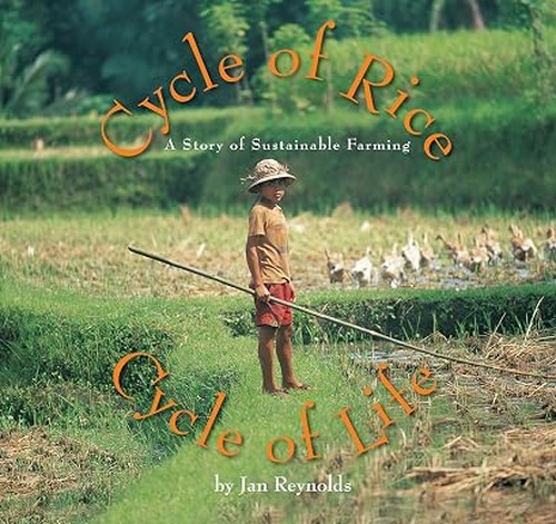 cycle of rice, cycle of life book cover