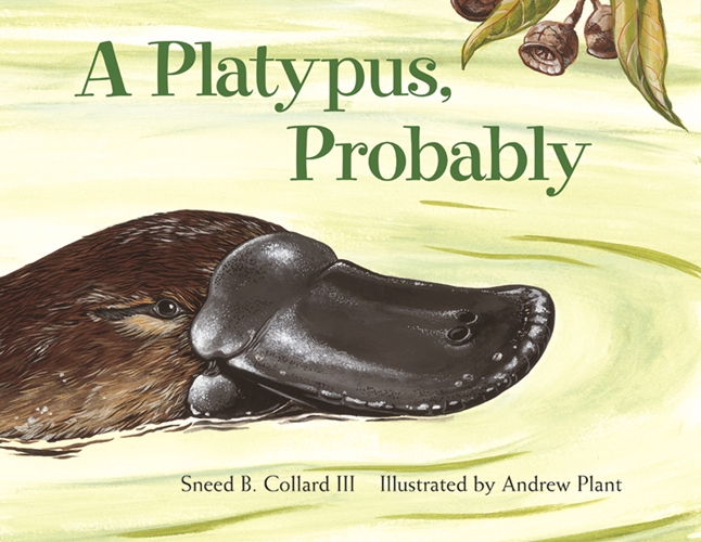 Cover of A Platypus, Probably